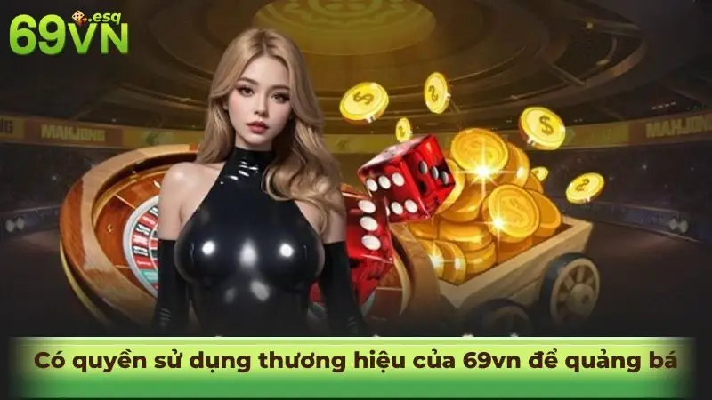 dai-ly-69vn-3